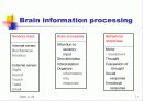 정신건강포럼-주요정신질환 (Major mental illness +Human rights) 11페이지