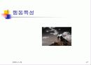정신건강포럼-주요정신질환 (Major mental illness +Human rights) 27페이지