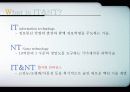 IT 3페이지