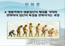 메인 PPT자료 3페이지