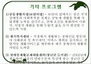 장애인 복지 15페이지