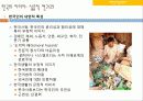 유럽인의 삶과 문화 14페이지