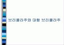 소비문화와_욕망의_생산3 15페이지
