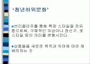 소비문화와_욕망의_생산3 17페이지