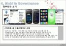 행정학연습 발표 17페이지