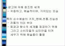 소비문화와_욕망의_생산2 21페이지