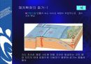 판구조론 21페이지