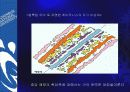 판구조론 24페이지
