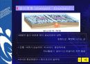 판구조론 34페이지