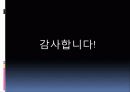 금융상품분석 11페이지