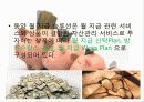 월지급식펀드 12페이지
