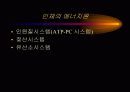 운동생리학,운동과 호흡계 내분비계 3페이지