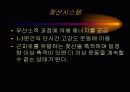 운동생리학,운동과 호흡계 내분비계 5페이지