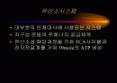 운동생리학,운동과 호흡계 내분비계 6페이지