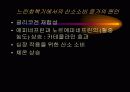 운동생리학,운동과 호흡계 내분비계 13페이지