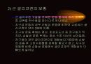운동생리학,운동과 호흡계 내분비계 18페이지
