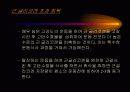운동생리학,운동과 호흡계 내분비계 23페이지