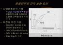 운동생리학,운동과 호흡계 내분비계 30페이지