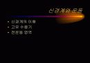 운동생리학,운동과 호흡계 내분비계 36페이지