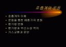 운동생리학,운동과 호흡계 내분비계 47페이지