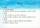 크루즈 2페이지