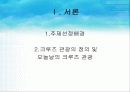 크루즈 3페이지