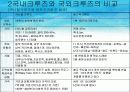 크루즈 24페이지
