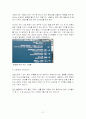 출입국수속절차와_인솔자행동요령1Tour conductor 21페이지