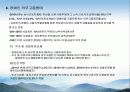 장애인고용정책과_문제점 13페이지