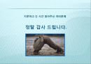 포스트 넷 12페이지