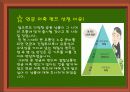 금융상품분석-연금 저축 펀드 3페이지