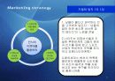 Marketing strategy 13페이지