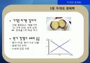 Marketing strategy 16페이지