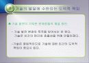 미래학의 이해 8페이지
