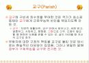 자발적 원조체계와 공공사회복지 대두 7페이지