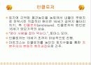 자발적 원조체계와 공공사회복지 대두 8페이지