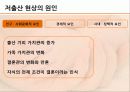우리나라 인구 문제 저출산 고령화 실태, 원인, 대안 8페이지