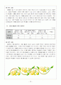 1)슬기로운생활-5. 자연과 함께해요 - 꽃과 열매(세안) 11페이지
