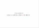 뉴발란스 브랜드분석,광고전략,IMC전략분석 8페이지