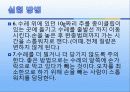 등속 및 등가속도 운동 25페이지