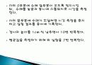 등속-등가속도실험 20페이지