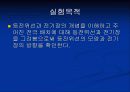 등전위실험 2페이지