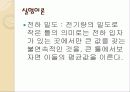 정전기 실험. 12페이지