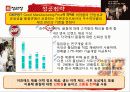 호주의 문화특성과 정관장의 성공사례 26페이지