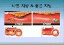 5대 영양소의 이해 9페이지