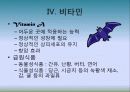 5대 영양소의 이해 11페이지