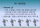5대 영양소의 이해 12페이지