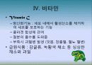 5대 영양소의 이해 13페이지