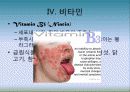 5대 영양소의 이해 16페이지
