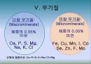 5대 영양소의 이해 19페이지